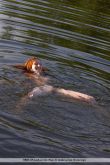 Vada_The_Lake_House_011.jpg