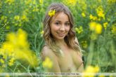 Filename=Linda_A_Field_Of_Gold_004.jpg
Filesize=171KiB
Dimensions=1200x800
Date added=Nov 23, 2019 Linda_A_Field_Of_Gold_004.jpg